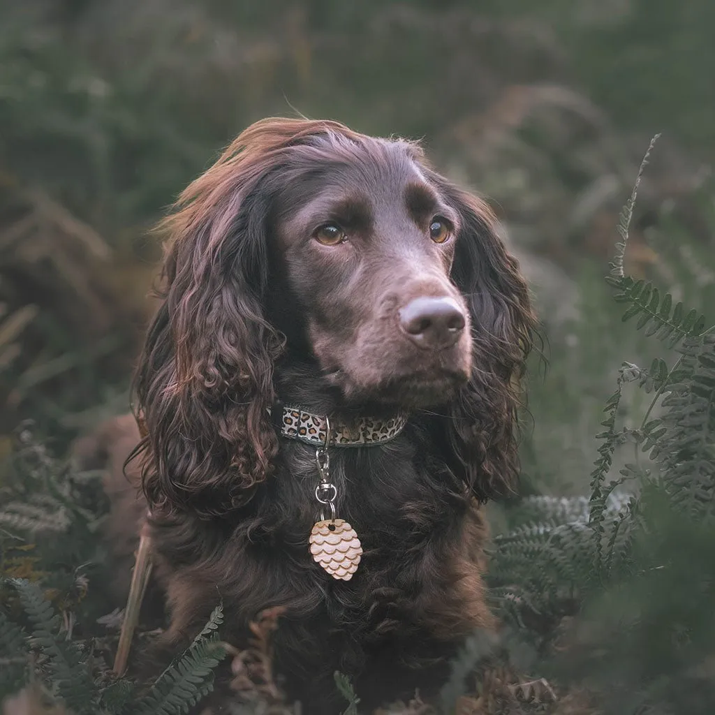 Forest Fir Leopard Print Dog Collar