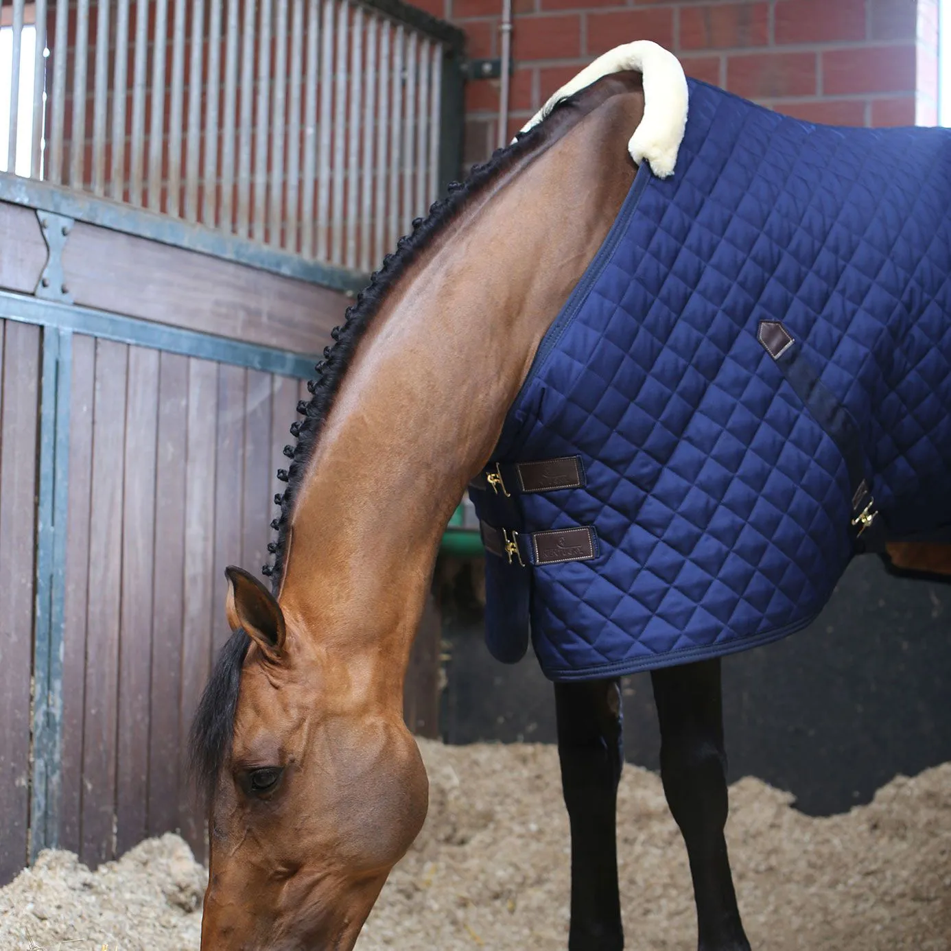 Kentucky Horsewear Stable Rug 400g - Navy