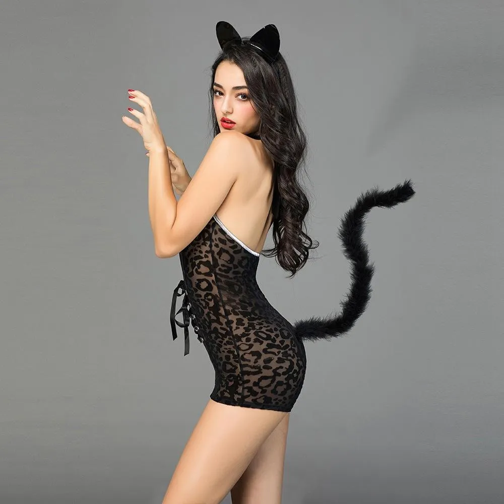 Kitty Cat Sexy Adult Roleplay Costume