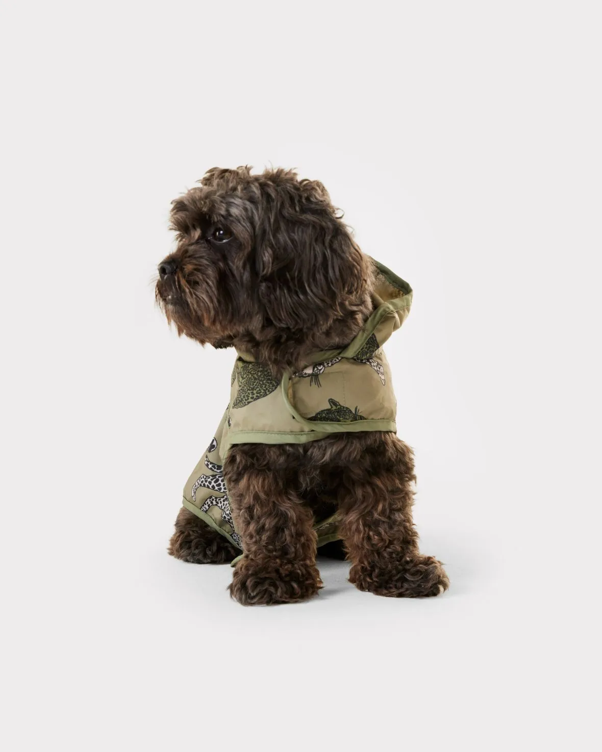 Leopard Print Dogs Rain Jacket - Sage