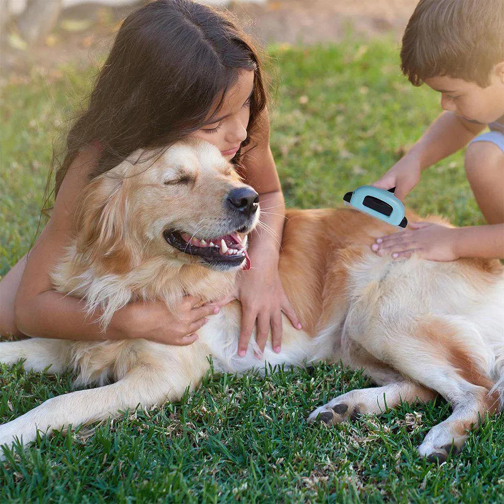 OxGord Blue Combo Pet Grooming Brush