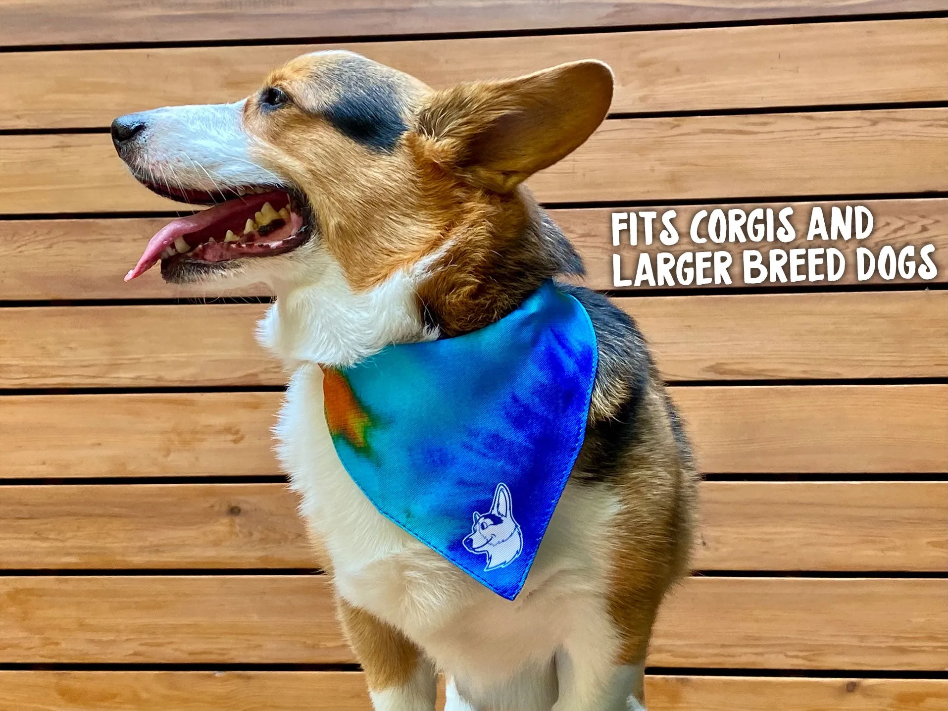 Tie-Dye Corgi Dog Bandana